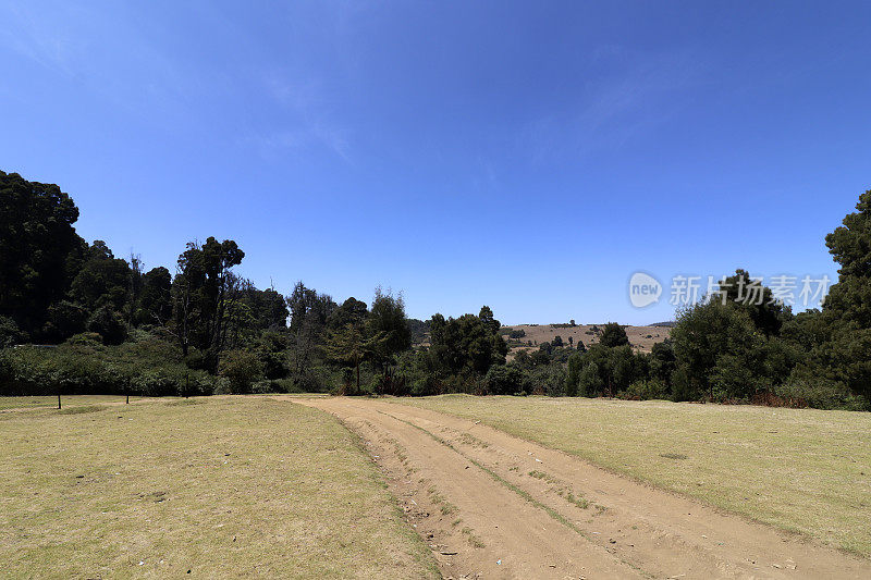 在晴朗的天空下，春天的Pagalkod Mund, Ooty，泰米尔纳德邦景观的美丽风景